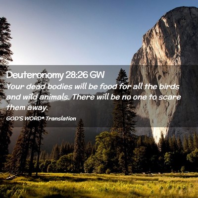Picture 02 - Deuteronomy 28:26 GW - Your dead bodies will be food for all the birds - Bible Verse Picture