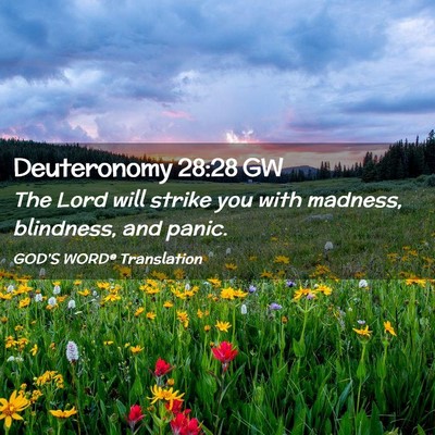 Picture 02 - Deuteronomy 28:28 GW - The Lord will strike you with madness, blindness, - Bible Verse Picture