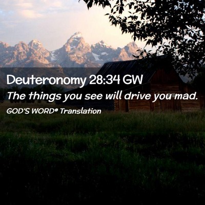 Picture 02 - Deuteronomy 28:34 GW - The things you see will drive you - Bible Verse Picture