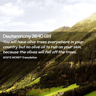 Picture 02 - Deuteronomy 28:40 GW - You will have olive trees everywhere in your - Bible Verse Picture