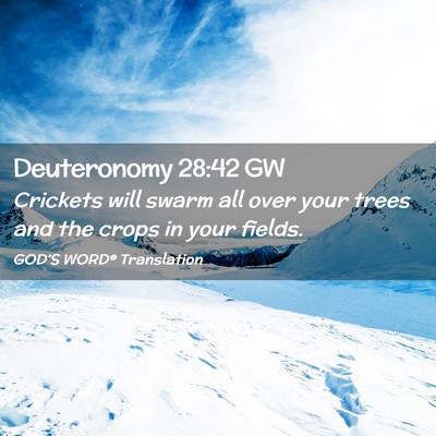 Picture 02 - Deuteronomy 28:42 GW - Crickets will swarm all over your trees and the - Bible Verse Picture