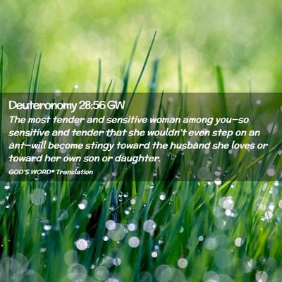 Picture 02 - Deuteronomy 28:56 GW - The most tender and sensitive woman among - Bible Verse Picture