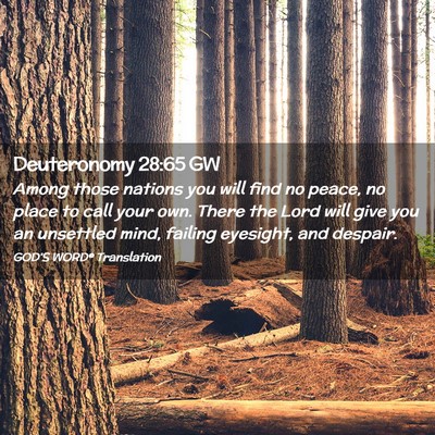 Picture 02 - Deuteronomy 28:65 GW - Among those nations you will find no peace, no - Bible Verse Picture