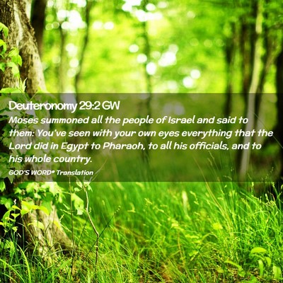 Picture 02 - Deuteronomy 29:2 GW - Moses summoned all the people of Israel and said - Bible Verse Picture