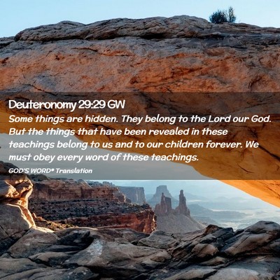Picture 02 - Deuteronomy 29:29 GW - Some things are hidden. They belong to the Lord - Bible Verse Picture