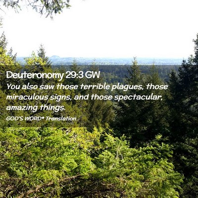 Picture 02 - Deuteronomy 29:3 GW - You also saw those terrible plagues, those - Bible Verse Picture