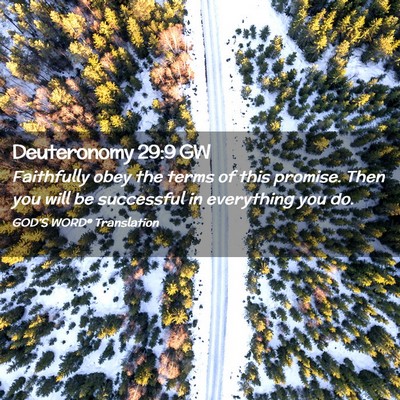 Picture 02 - Deuteronomy 29:9 GW - Faithfully obey the terms of this promise. Then - Bible Verse Picture