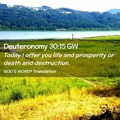 Picture 02 - Deuteronomy 30:15 GW - Today I offer you life and prosperity or death - Bible Verse Picture