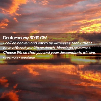 Picture 02 - Deuteronomy 30:19 GW - I call on heaven and earth as witnesses today - Bible Verse Picture