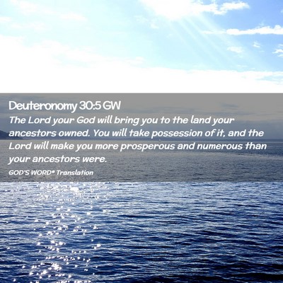 Picture 02 - Deuteronomy 30:5 GW - The Lord your God will bring you to the land your - Bible Verse Picture