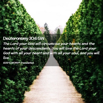 Picture 02 - Deuteronomy 30:6 GW - The Lord your God will circumcise your hearts and - Bible Verse Picture