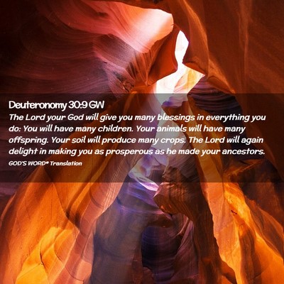 Picture 02 - Deuteronomy 30:9 GW - The Lord your God will give you many blessings in - Bible Verse Picture