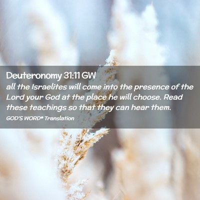 Picture 02 - Deuteronomy 31:11 GW - all the Israelites will come into the presence of - Bible Verse Picture