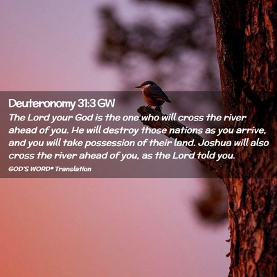Picture 02 - Deuteronomy 31:3 GW - The Lord your God is the one who will cross the - Bible Verse Picture