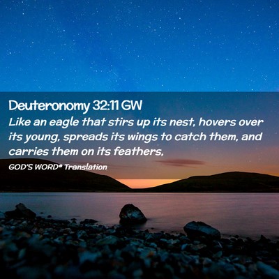 Picture 02 - Deuteronomy 32:11 GW - Like an eagle that stirs up its nest, hovers over - Bible Verse Picture