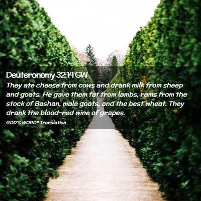 Picture 02 - Deuteronomy 32:14 GW - They ate cheese from cows and drank milk from - Bible Verse Picture