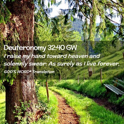 Picture 02 - Deuteronomy 32:40 GW - I raise my hand toward heaven and solemnly swear: - Bible Verse Picture