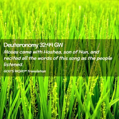 Picture 02 - Deuteronomy 32:44 GW - Moses came with Hoshea, son of Nun, and recited - Bible Verse Picture