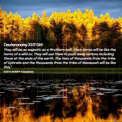 Picture 02 - Deuteronomy 33:17 GW - They will be as majestic as a firstborn bull. - Bible Verse Picture