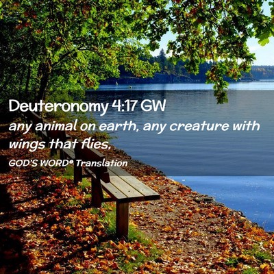 Picture 02 - Deuteronomy 4:17 GW - any animal on earth, any creature with wings that - Bible Verse Picture