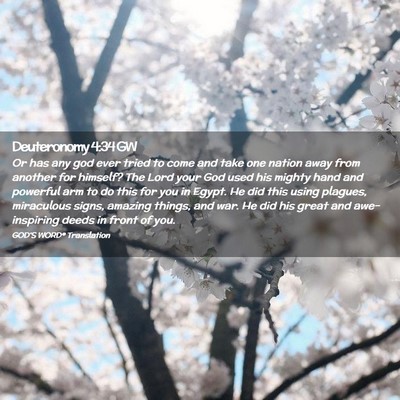 Picture 02 - Deuteronomy 4:34 GW - Or has any god ever tried to come and take one - Bible Verse Picture