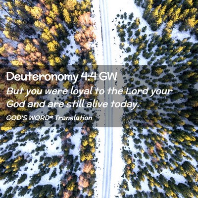 Picture 02 - Deuteronomy 4:4 GW - But you were loyal to the Lord your God and are - Bible Verse Picture