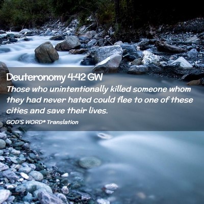 Picture 02 - Deuteronomy 4:42 GW - Those who unintentionally killed someone whom - Bible Verse Picture