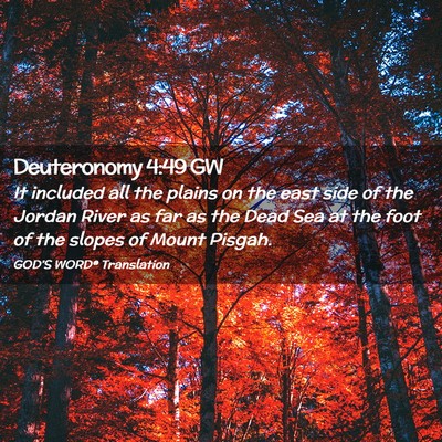 Picture 02 - Deuteronomy 4:49 GW - It included all the plains on the east side of - Bible Verse Picture