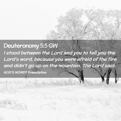 Picture 02 - Deuteronomy 5:5 GW - I stood between the Lord and you to tell you the - Bible Verse Picture
