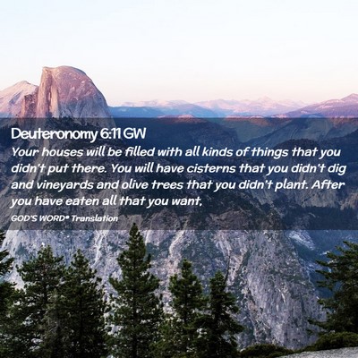 Picture 02 - Deuteronomy 6:11 GW - Your houses will be filled with all kinds of - Bible Verse Picture