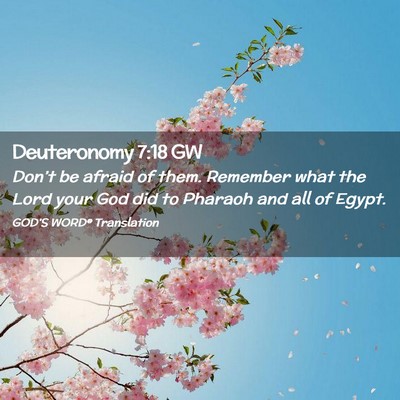 Picture 02 - Deuteronomy 7:18 GW - Don’t be afraid of them. Remember what the Lord - Bible Verse Picture