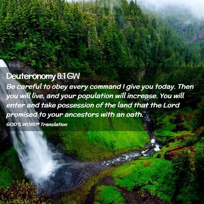 Picture 02 - Deuteronomy 8:1 GW - Be careful to obey every command I give you - Bible Verse Picture