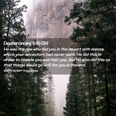 Picture 02 - Deuteronomy 8:16 GW - He was the one who fed you in the desert with - Bible Verse Picture