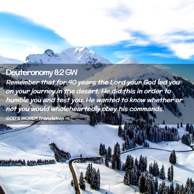 Picture 02 - Deuteronomy 8:2 GW - Remember that for 40 years the Lord your God led - Bible Verse Picture