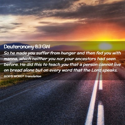 Picture 02 - Deuteronomy 8:3 GW - So he made you suffer from hunger and then fed - Bible Verse Picture