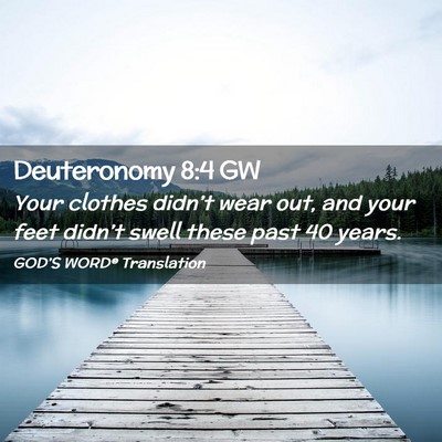 Picture 02 - Deuteronomy 8:4 GW - Your clothes didn’t wear out, and your feet - Bible Verse Picture