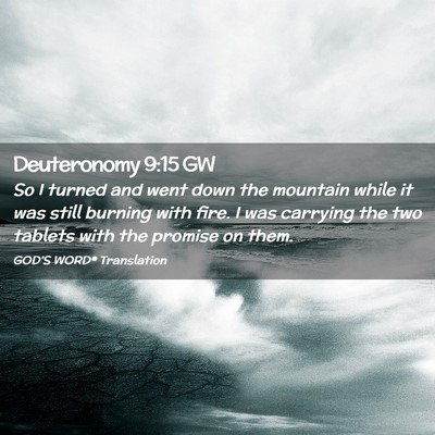 Picture 02 - Deuteronomy 9:15 GW - So I turned and went down the mountain while it - Bible Verse Picture