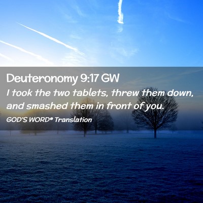Picture 02 - Deuteronomy 9:17 GW - I took the two tablets, threw them down, and - Bible Verse Picture