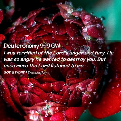 Picture 02 - Deuteronomy 9:19 GW - I was terrified of the Lord’s anger and fury. - Bible Verse Picture