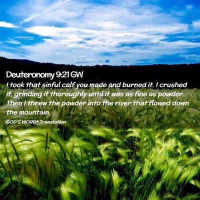 Picture 02 - Deuteronomy 9:21 GW - I took that sinful calf you made and burned it. I - Bible Verse Picture