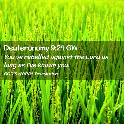 Picture 02 - Deuteronomy 9:24 GW - You’ve rebelled against the Lord as long as - Bible Verse Picture