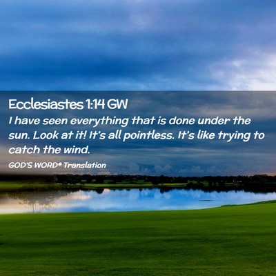 Picture 02 - Ecclesiastes 1:14 GW - I have seen everything that is done under the - Bible Verse Picture