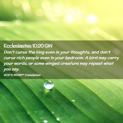 Picture 02 - Ecclesiastes 10:20 GW - Don’t curse the king even in your thoughts, and - Bible Verse Picture