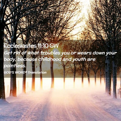 Picture 02 - Ecclesiastes 11:10 GW - Get rid of what troubles you or wears down your - Bible Verse Picture
