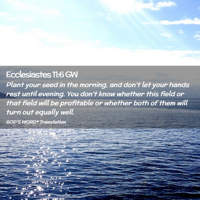 Picture 02 - Ecclesiastes 11:6 GW - Plant your seed in the morning, and don’t let - Bible Verse Picture