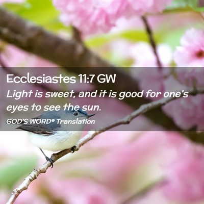 Picture 02 - Ecclesiastes 11:7 GW - Light is sweet, and it is good for one’s eyes - Bible Verse Picture