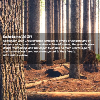Picture 02 - Ecclesiastes 12:5 GW - Remember your Creator when someone is afraid of - Bible Verse Picture
