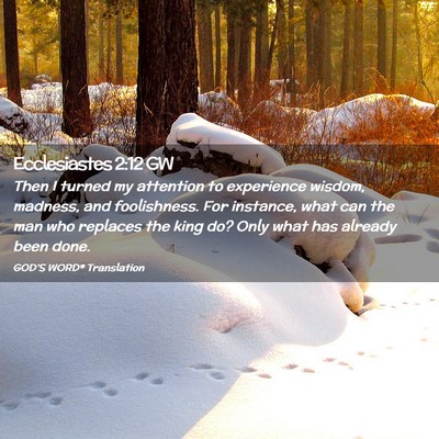 Picture 02 - Ecclesiastes 2:12 GW - Then I turned my attention to experience wisdom, - Bible Verse Picture
