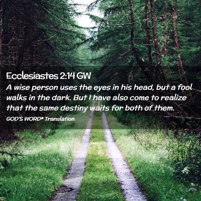 Picture 02 - Ecclesiastes 2:14 GW - A wise person uses the eyes in his head, but a - Bible Verse Picture