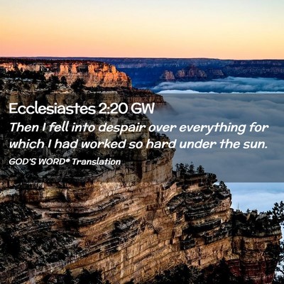 Picture 02 - Ecclesiastes 2:20 GW - Then I fell into despair over everything for - Bible Verse Picture
